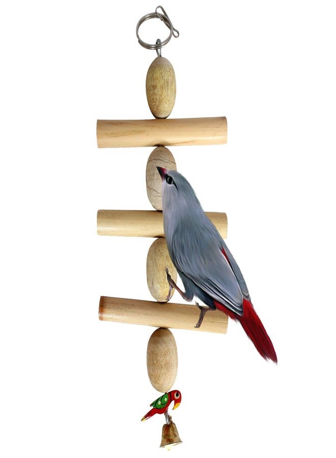 سايج سكوير لعبة مضغ خشبية طبيعية 100% من سيج سكوير للطيور، الببغاء، الكوكاتيل، والبادجي - Image 2